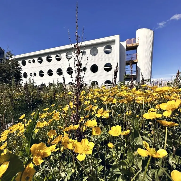 The Minimal: edificio de chapa blanca con ventanas circulares y balcones naranjas, entre flores amarillas